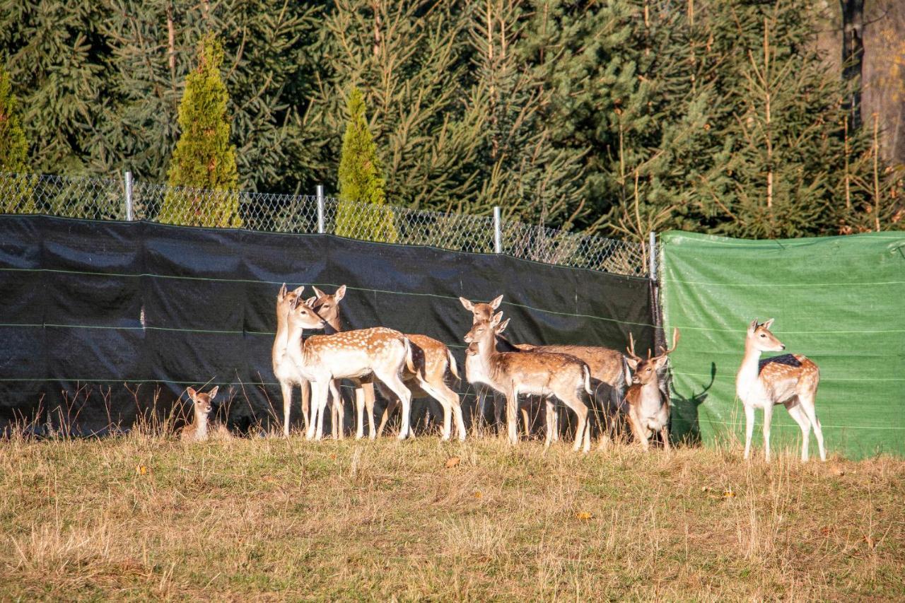Grand Tatry - Miejsce Na Wyjatkowy Pobyt Dla Ciebie I Twojej Rodziny! - Sauna I Jacuzzi Wliczone W Cene Pobytu - 10 Minut Pieszo Od Term Bania ビャウカ エクステリア 写真